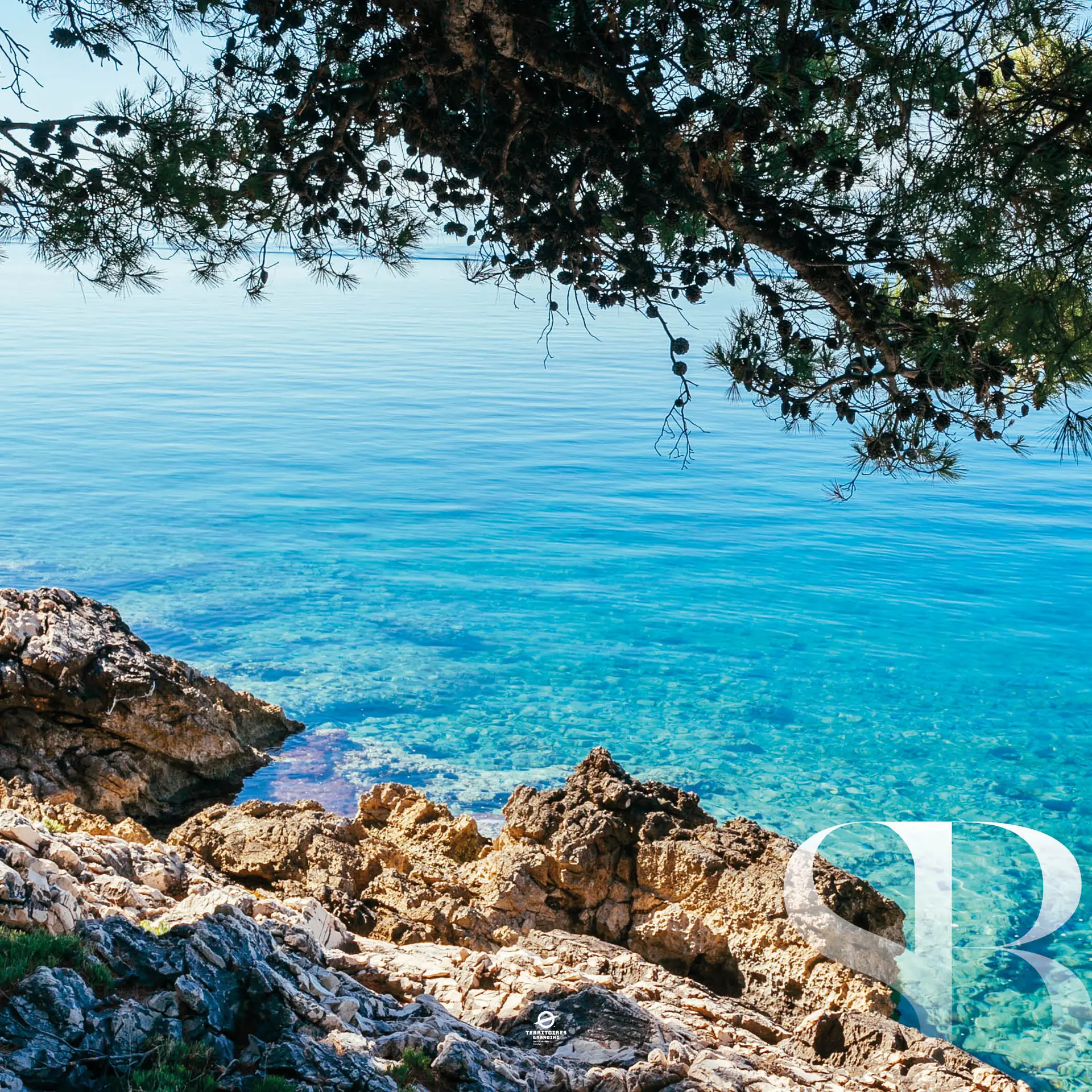 sebastien-brunetto-immobilier-expertise-immobiliere-dans-le-var Sébastien Brunetto Immobilier expert immobilier du littoral varois